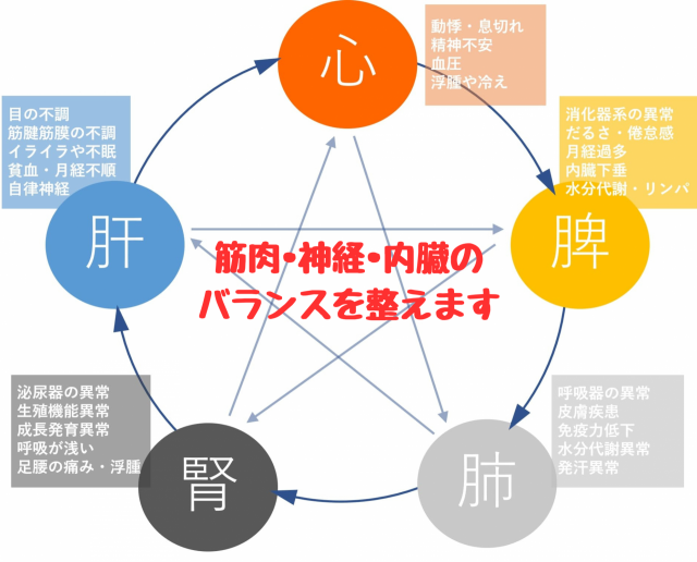 五臓のバランスを保つ鍼灸治療